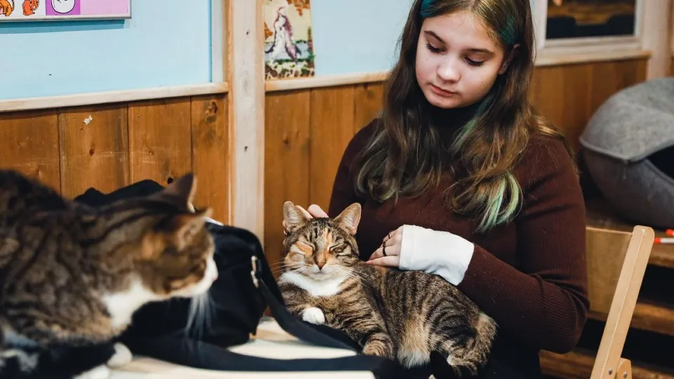 Фото: пресс-служба администрации г.о. Химки