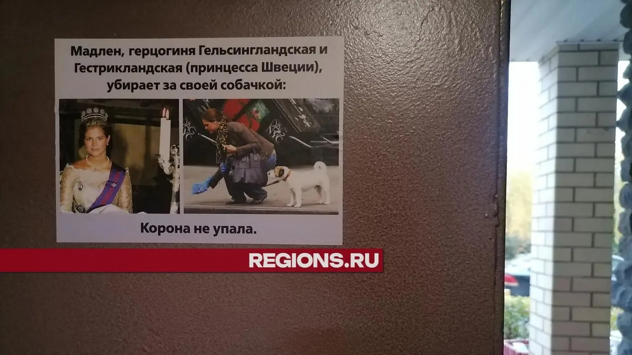 Фото: regions.ru/Александра Никитина