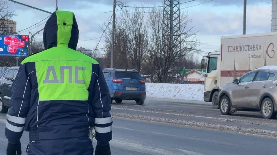 Фото: МедиаБанк Подмосковья/Евгения Герасимова