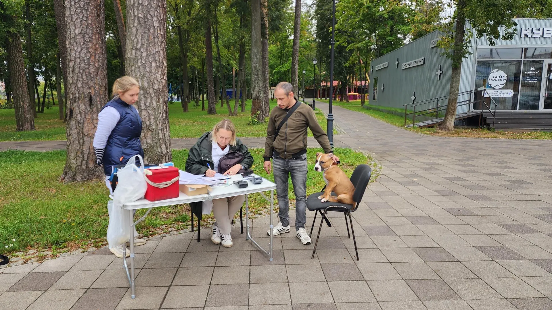 Картинка