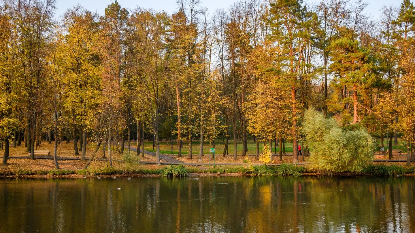 Фото: медиасток.рф