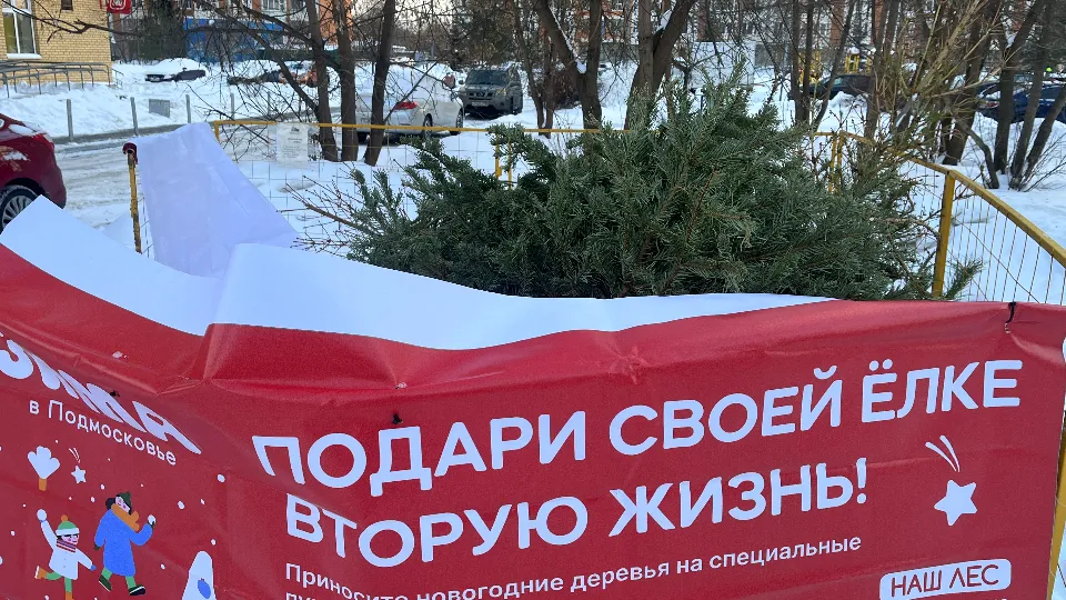 Фото: МедиаБанк Подмосковья/Елизавета Приймак