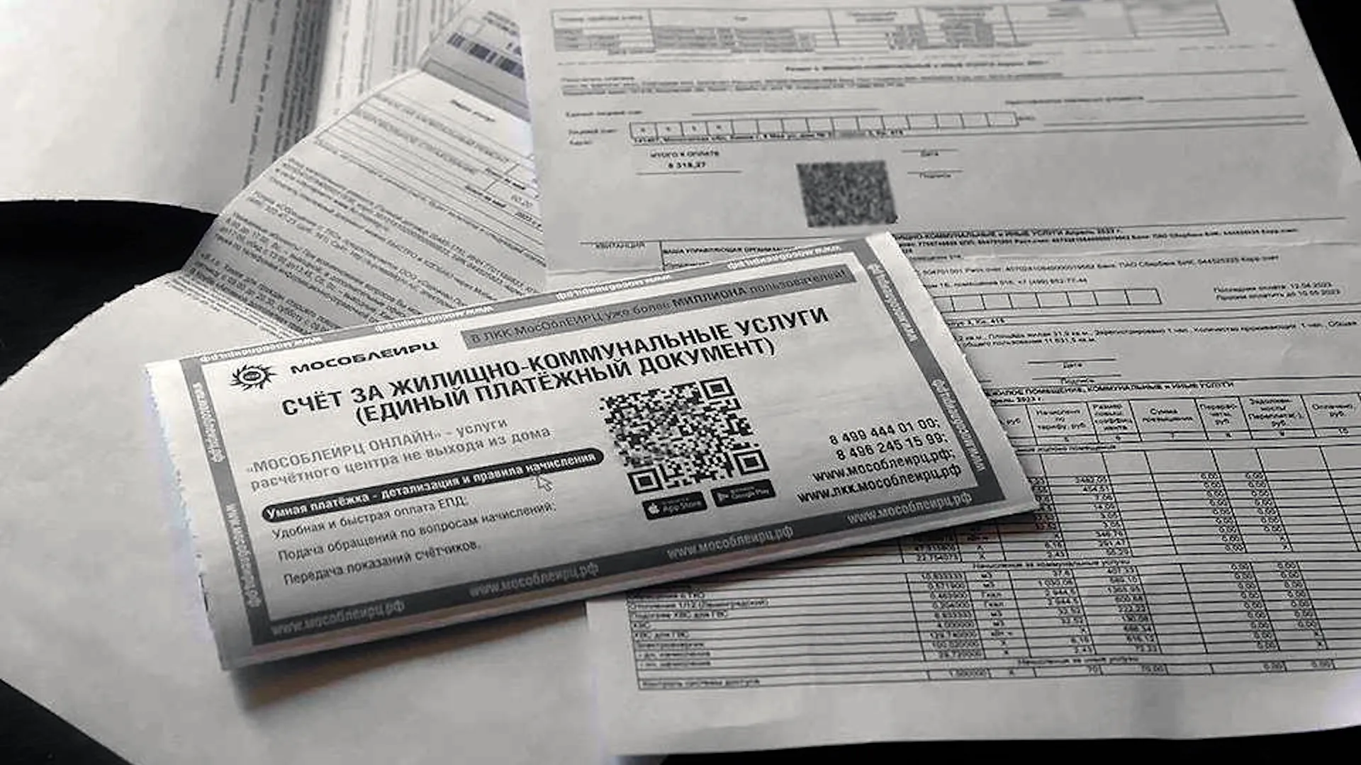 Фото: МедиаБанк Подмосковья/Дарья Соколова