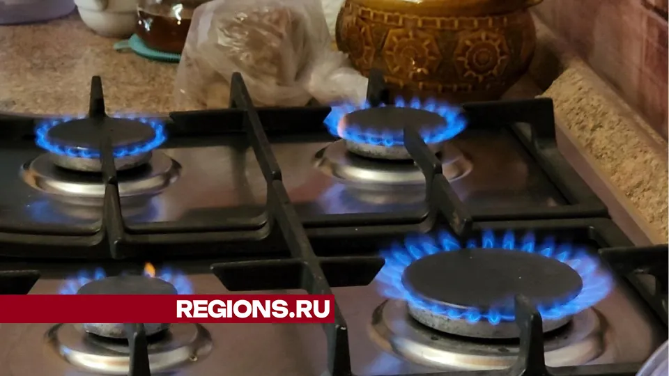 Фото: Арина Кузнецова
