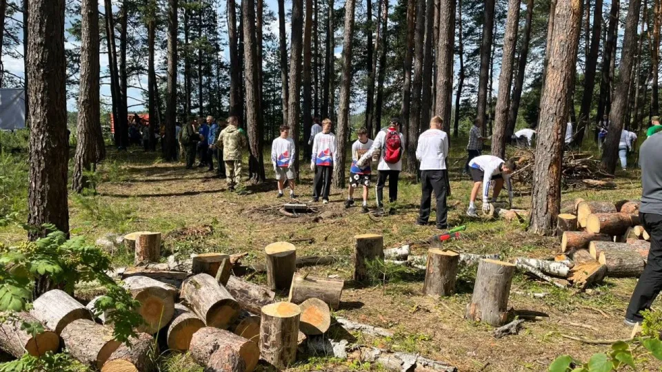 Фото: Комитет лесного хозяйства Московской области
