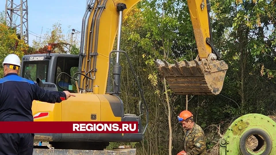 Фото: Юлия Смагринская