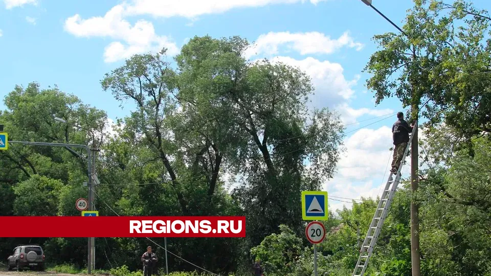 Фото: REGIONS/Василий Тремасов