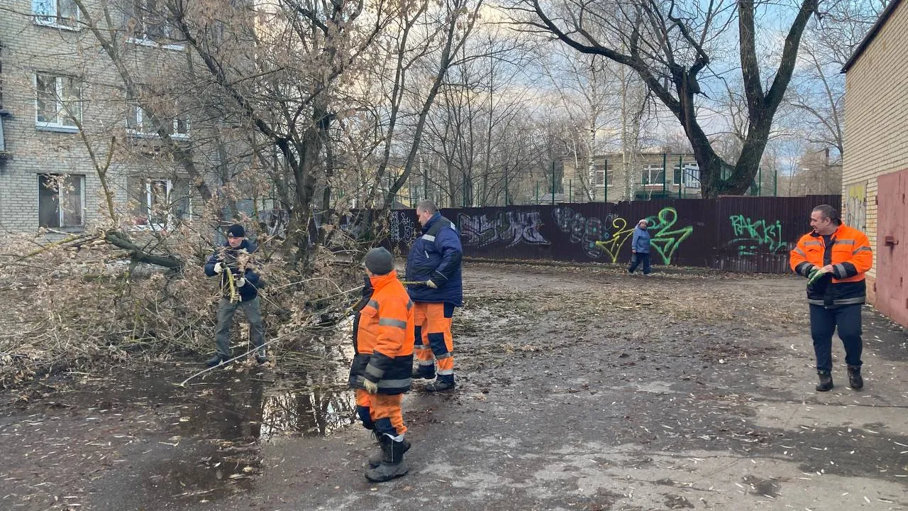 Фото: МЦУР Жуковский