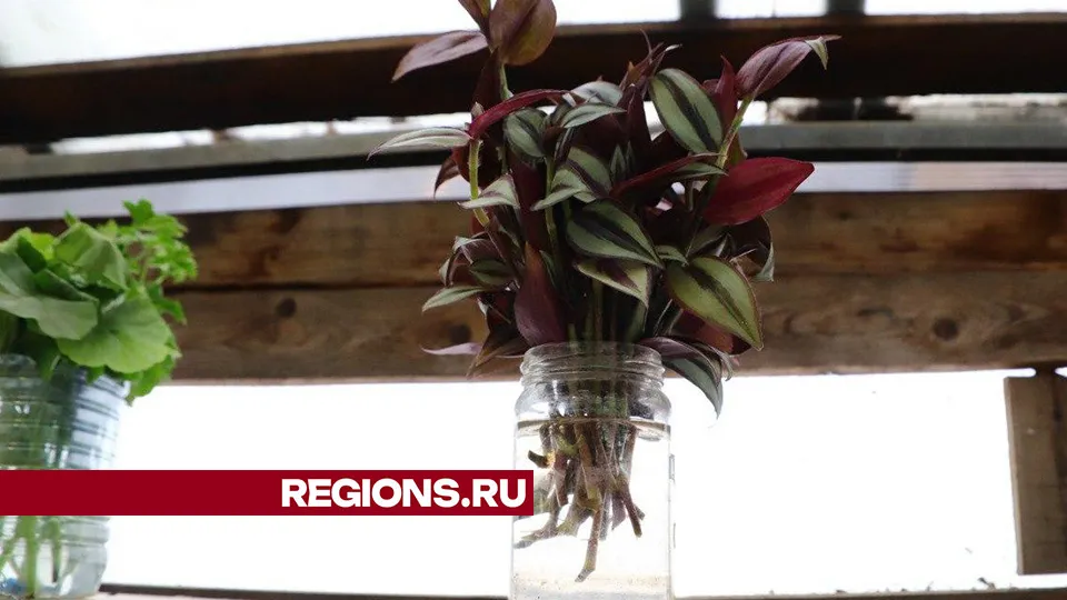 Фото: Максим Лысов