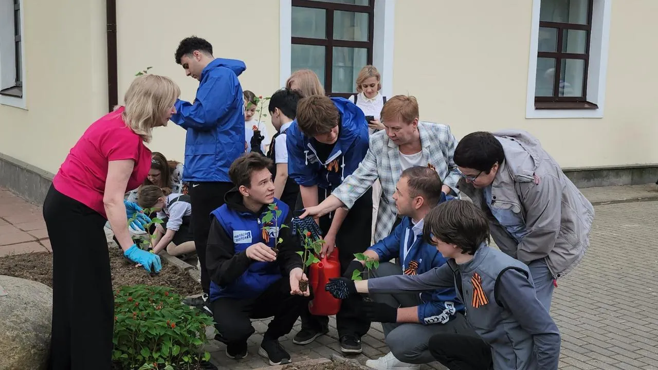 Картинка