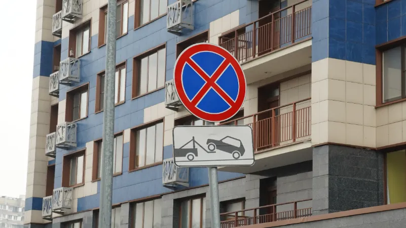 Фото: Медиабанк Подмосковья/Антифьева Дарья