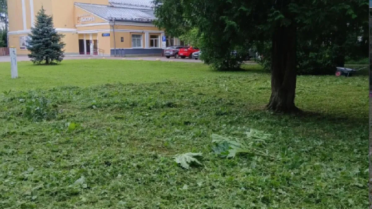 Картинка