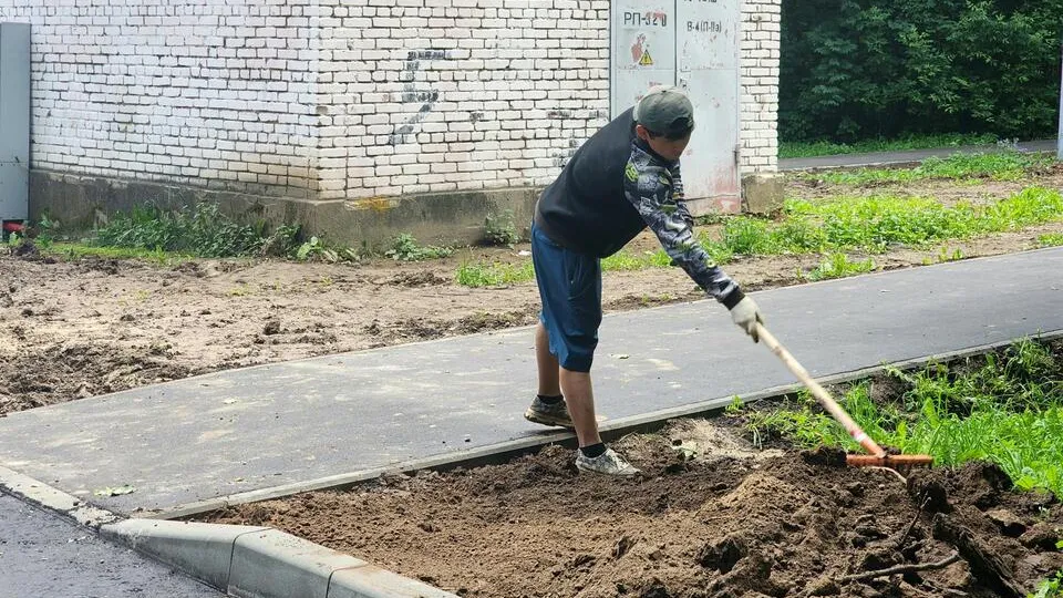 Картинка