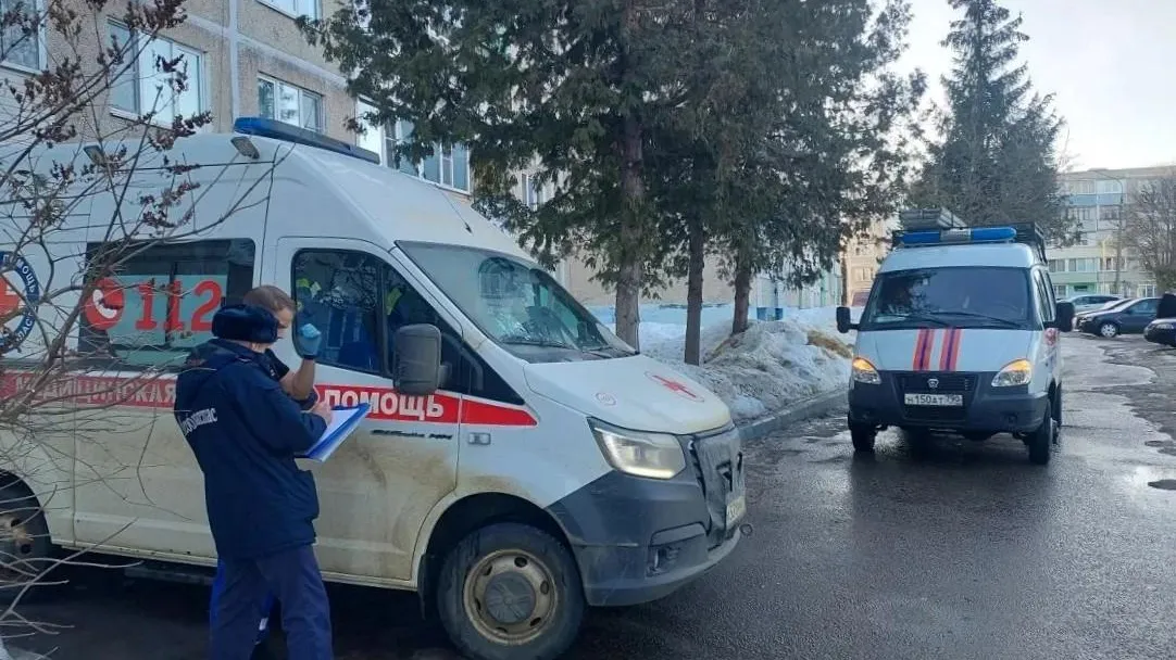 Картинка