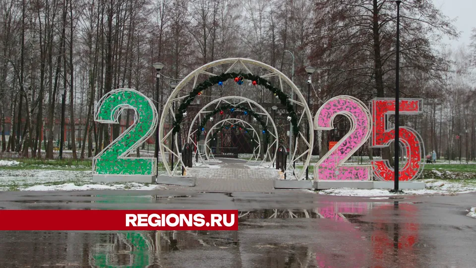Фото: REGIONS/Василий Тремасов