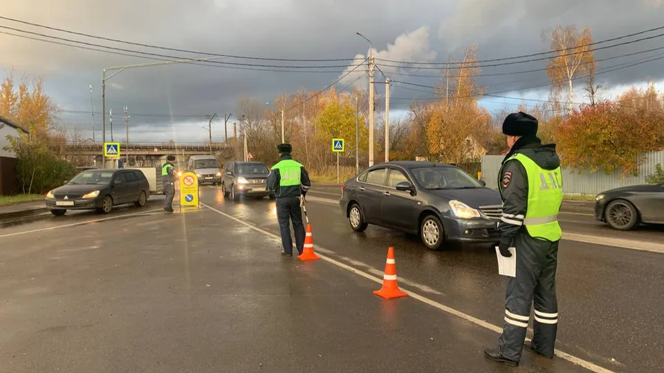Фото: МедиаБанк Подмосковья / Анастасия Хренкова