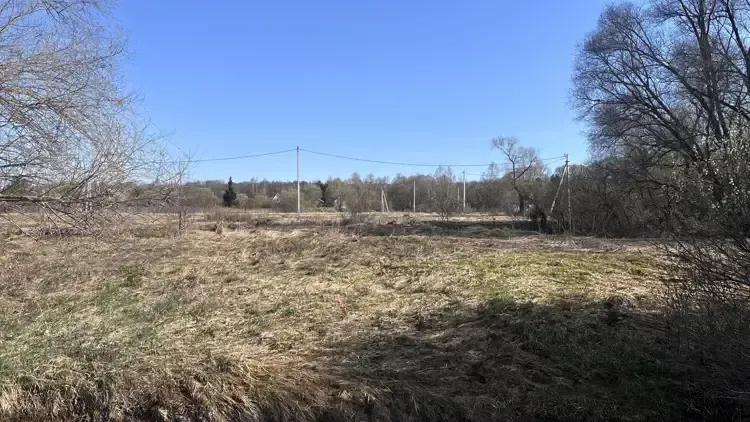 В Подмосковье на торги выставили более 200 новых объектов
