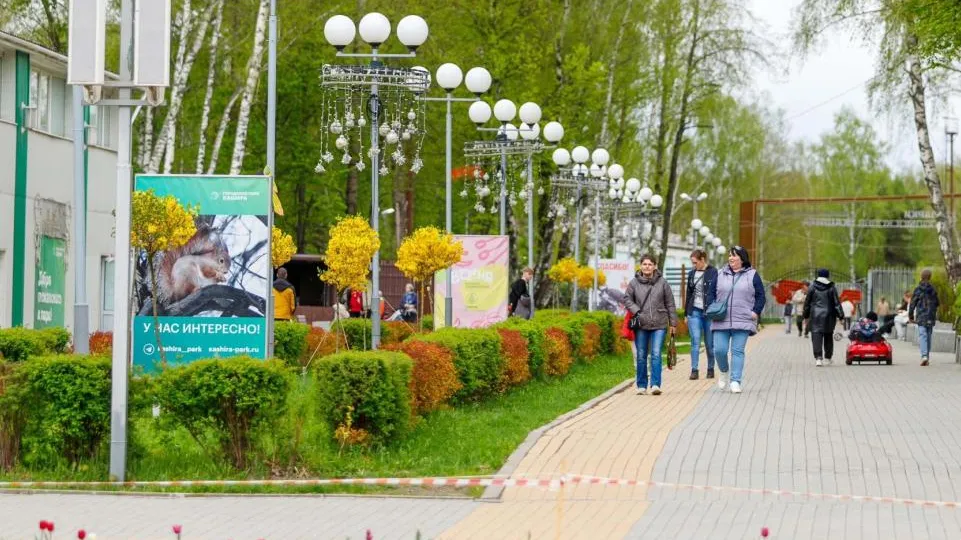 Фото: пресс-служба администрации г.о. Кашира
