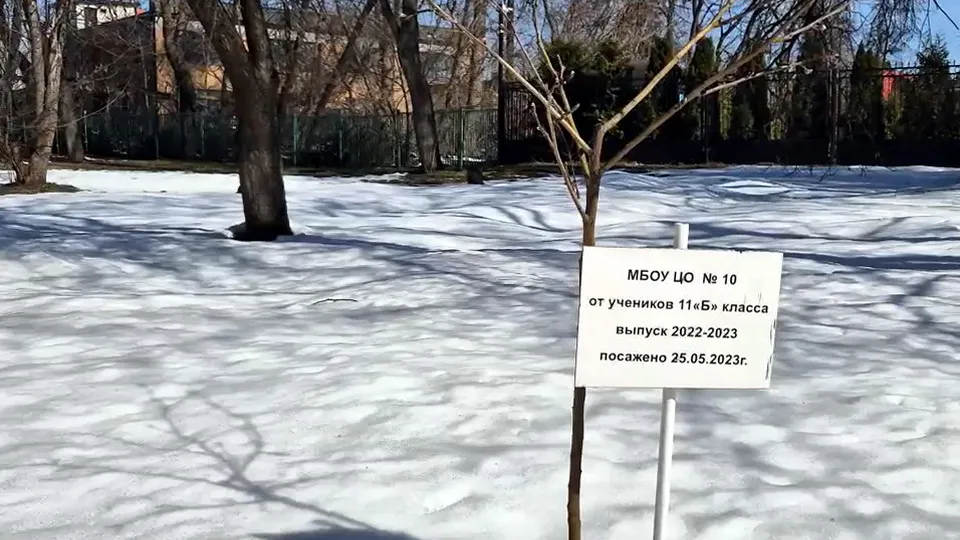 Фото: Богородский медиацентр