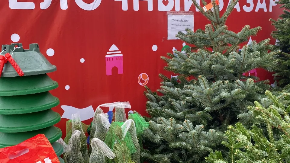Фото: Медиабанк Подмосковья/Дарья Шапочкина