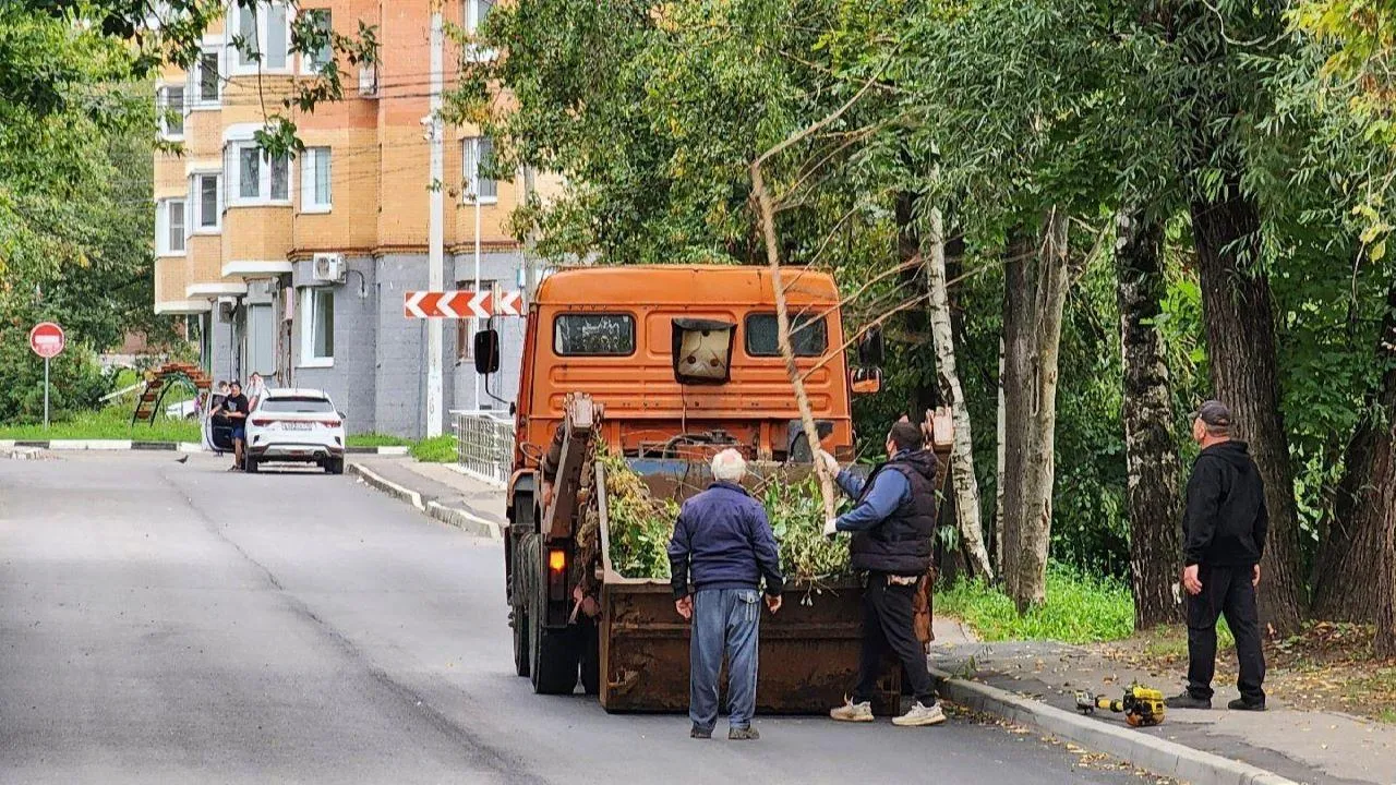 Картинка
