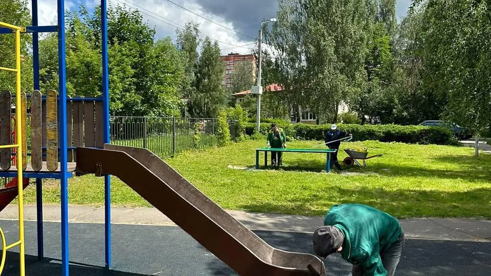 Картинка