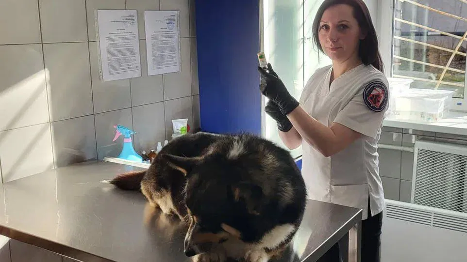 Фото: министерство сельского хозяйства и продовольствия Московской области