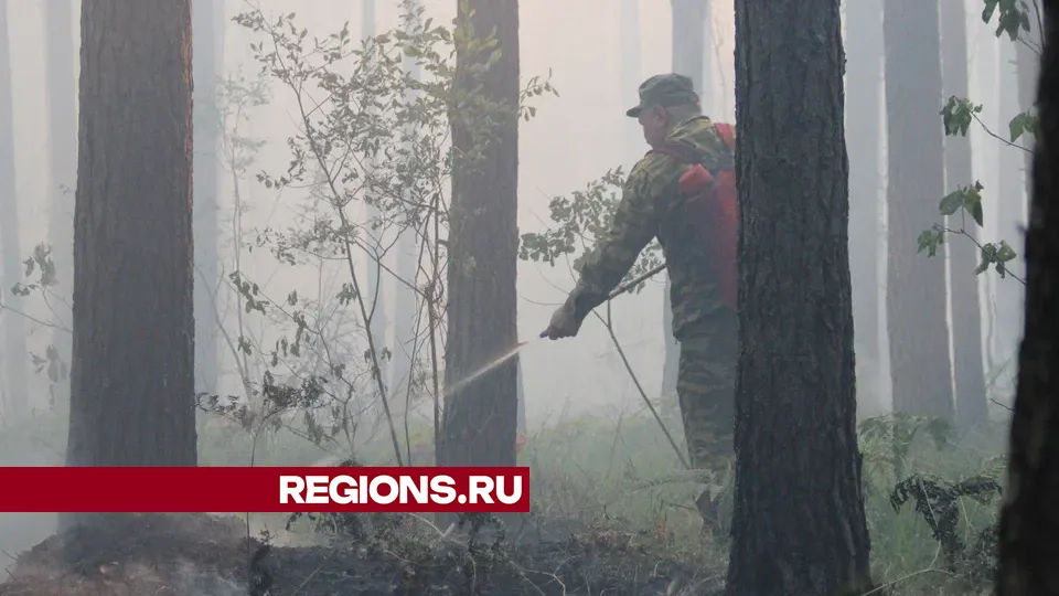 Фото: REGIONS/Василий Тремасов