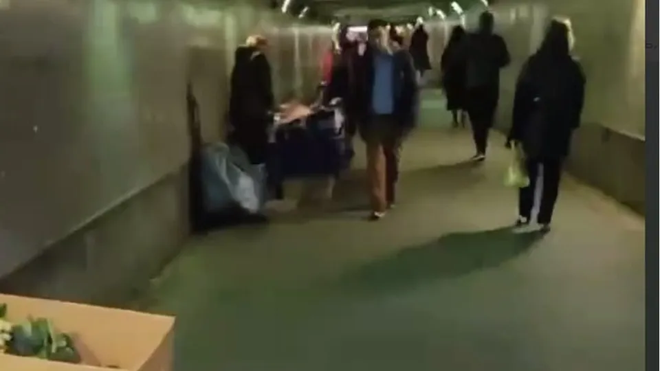 скан видео из соцсетей