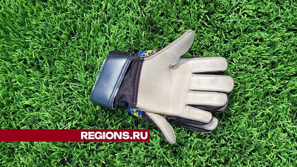 Фото: пресс-служба администрации городского округа Луховицы