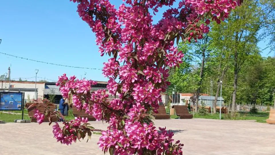 Фото: REGIONS/Олег Книжник