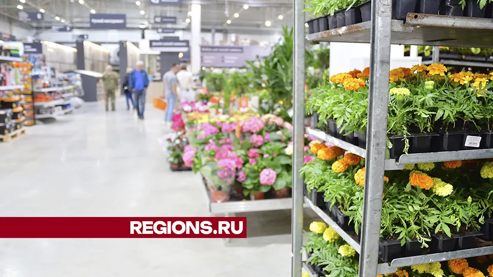 Фото: REGIONS/Наталья Бычкова
