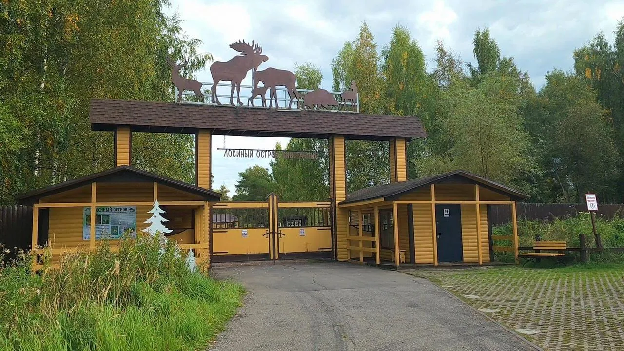 Картинка