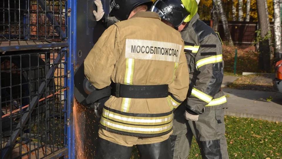 Фото: ГКУ МО «Мособлпожспас»