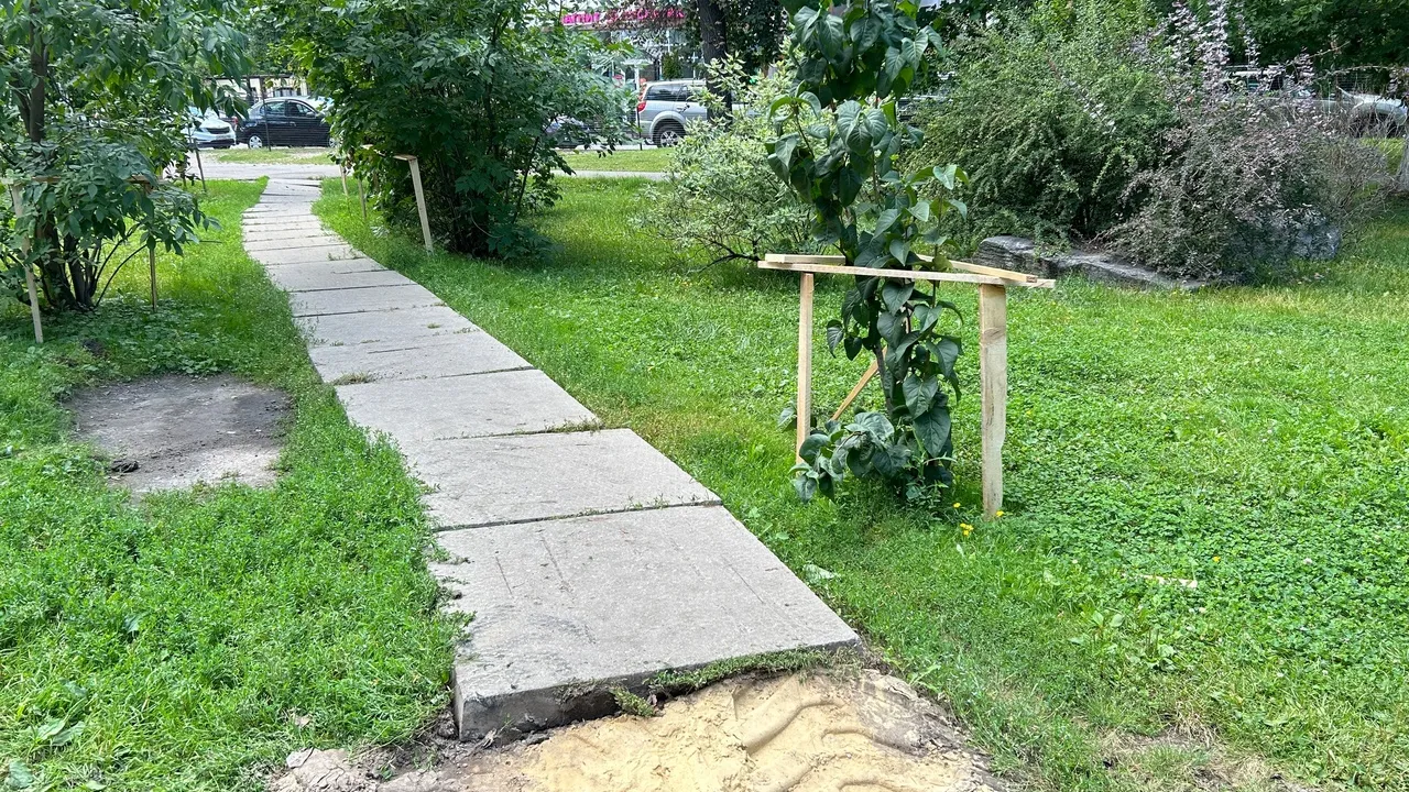 Фото: Администрации г.о. Королев