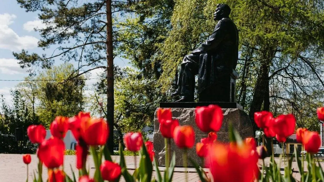 Картинка