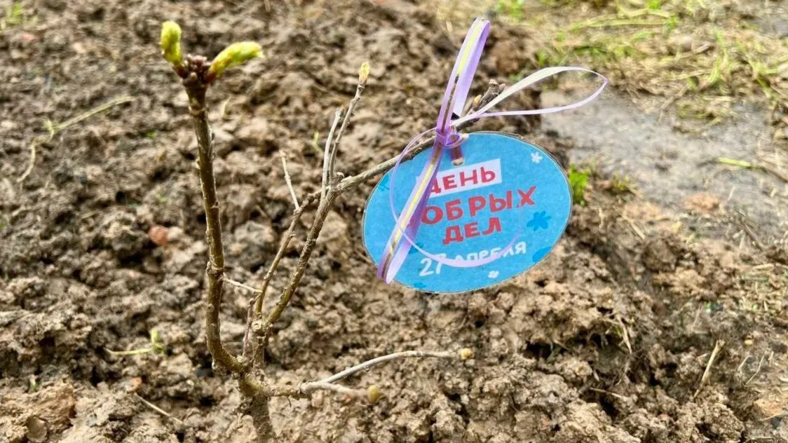 Фото: t.me/Администрация Можайского городского округа