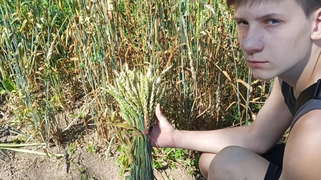 Картинка