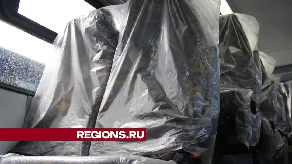 Фото: REGIONS/Василий Тремасов