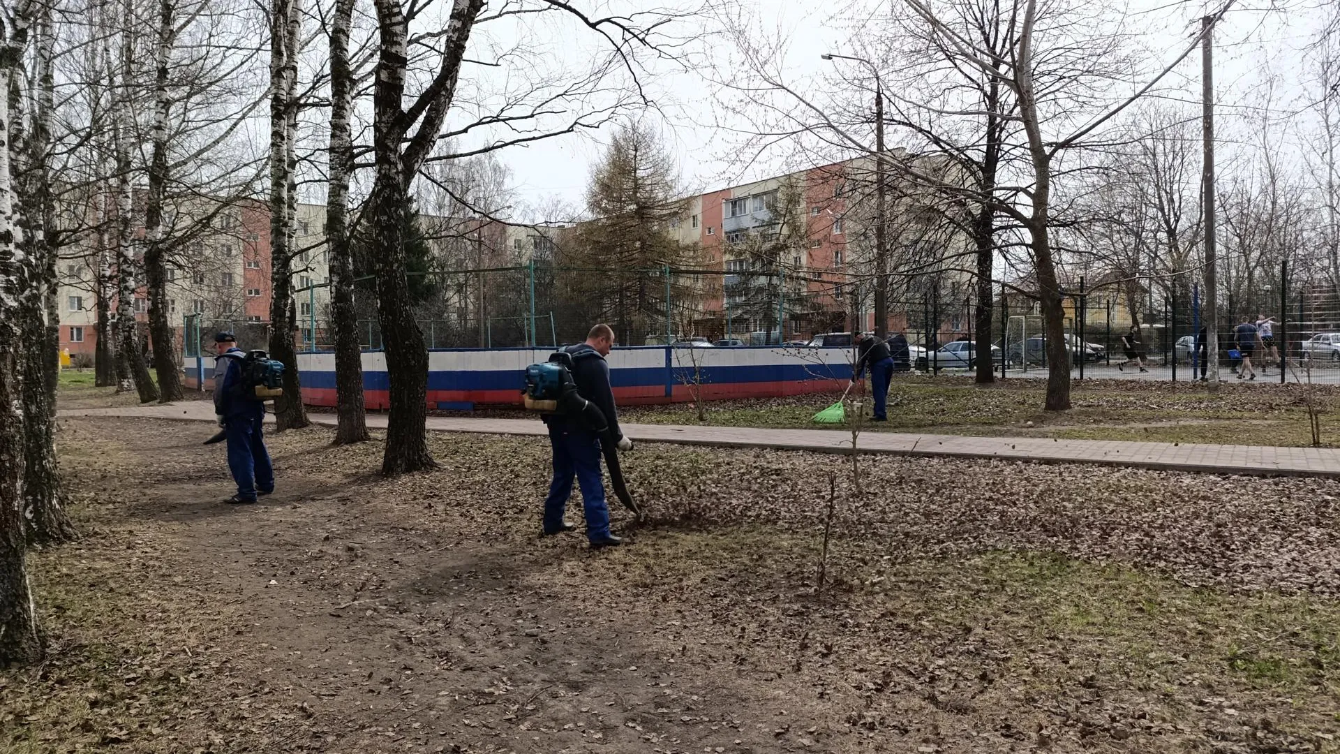Картинка