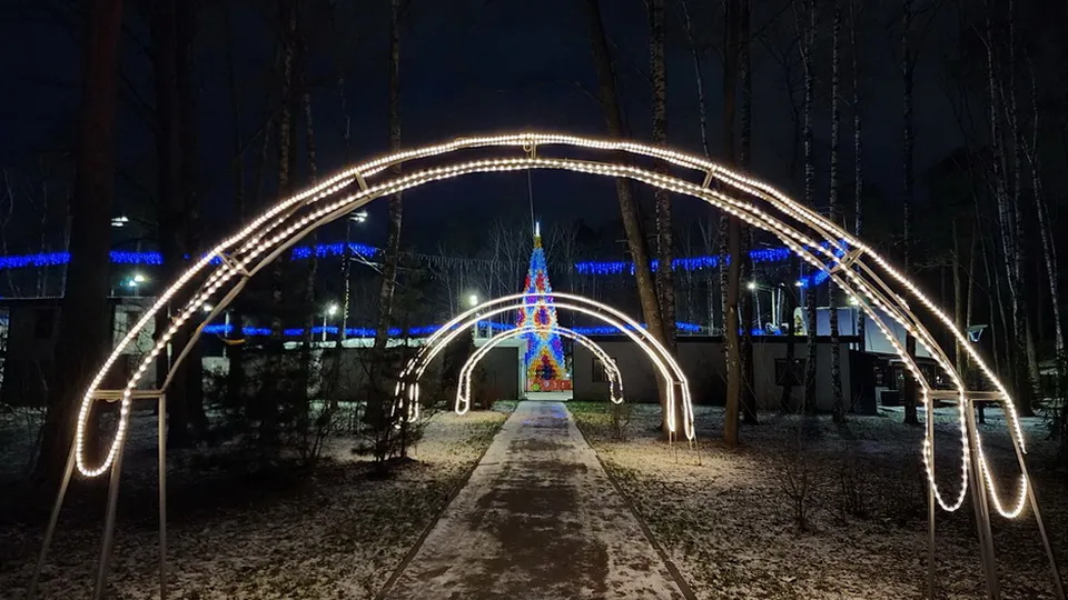 Фото: МедиаБанк Подмосковья/Ольга Аввакумова
