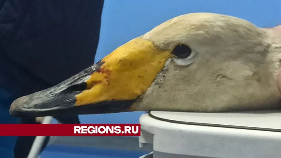 Фото: Ольга Пятикрестовская