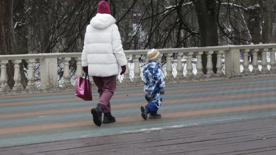 Фото: Министерство благоустройства Московской области