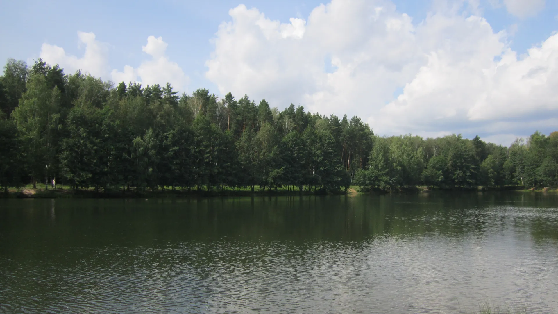 Фото: Олег Книжник