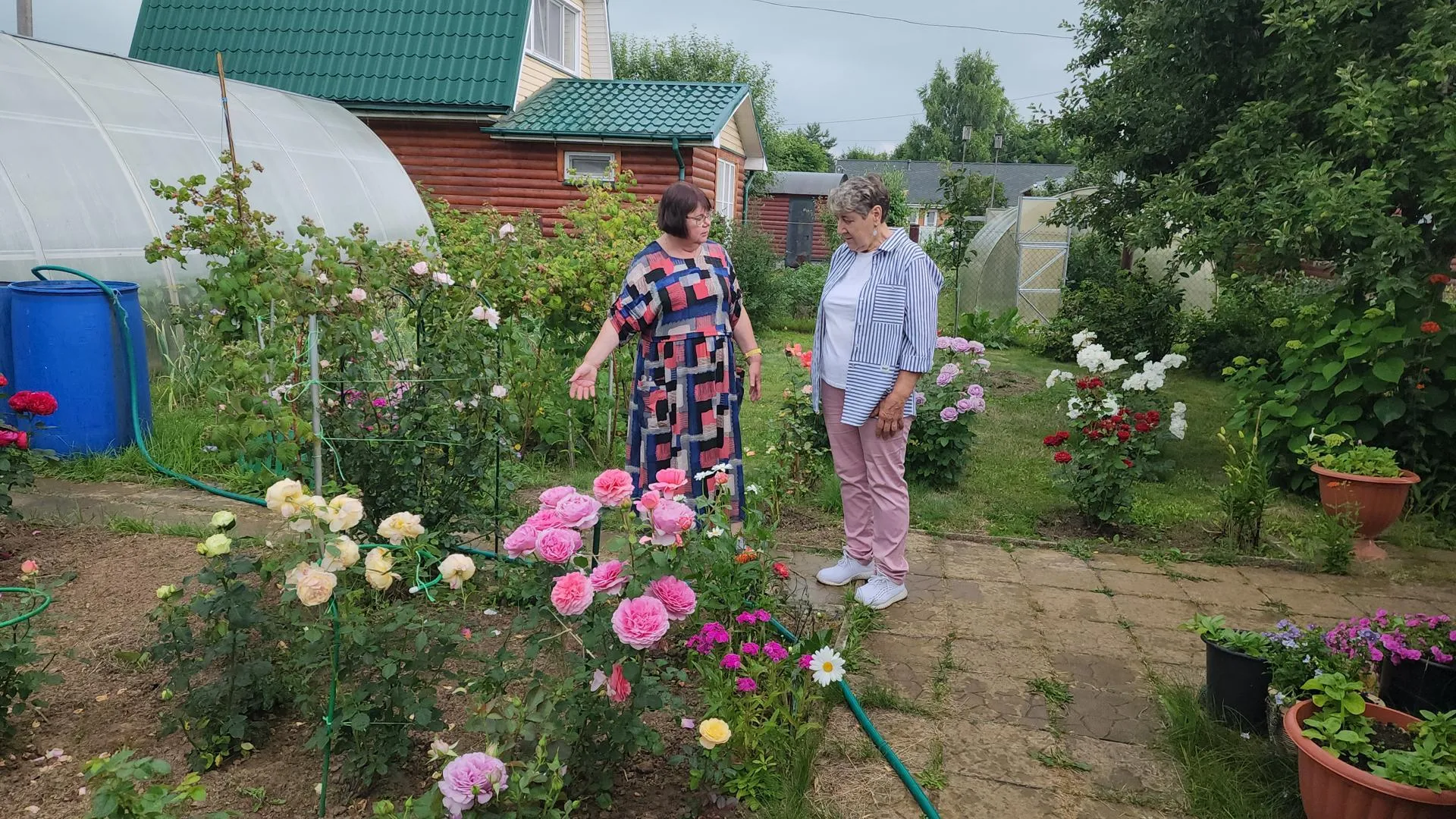 Картинка