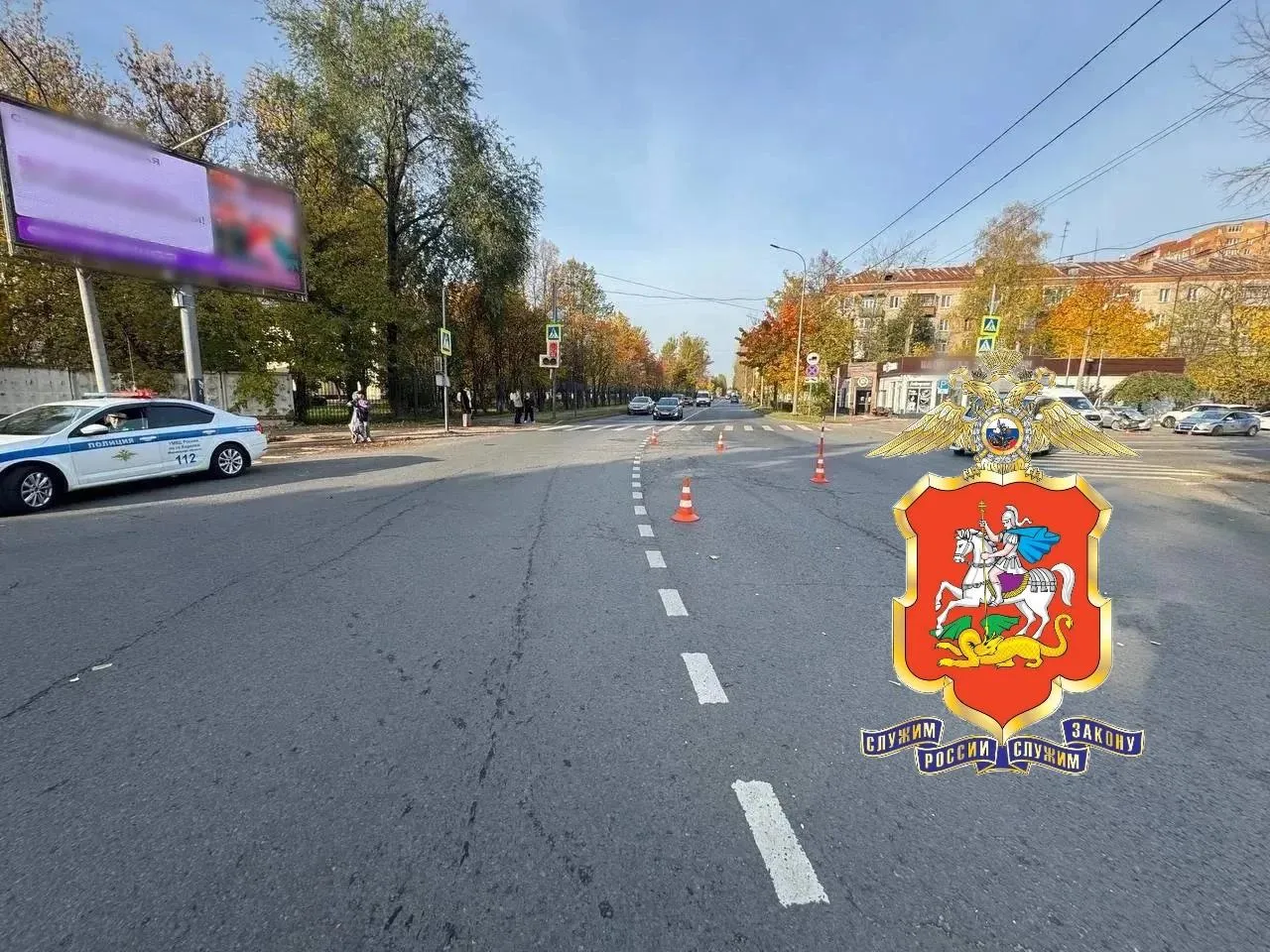 МВД по Московской области