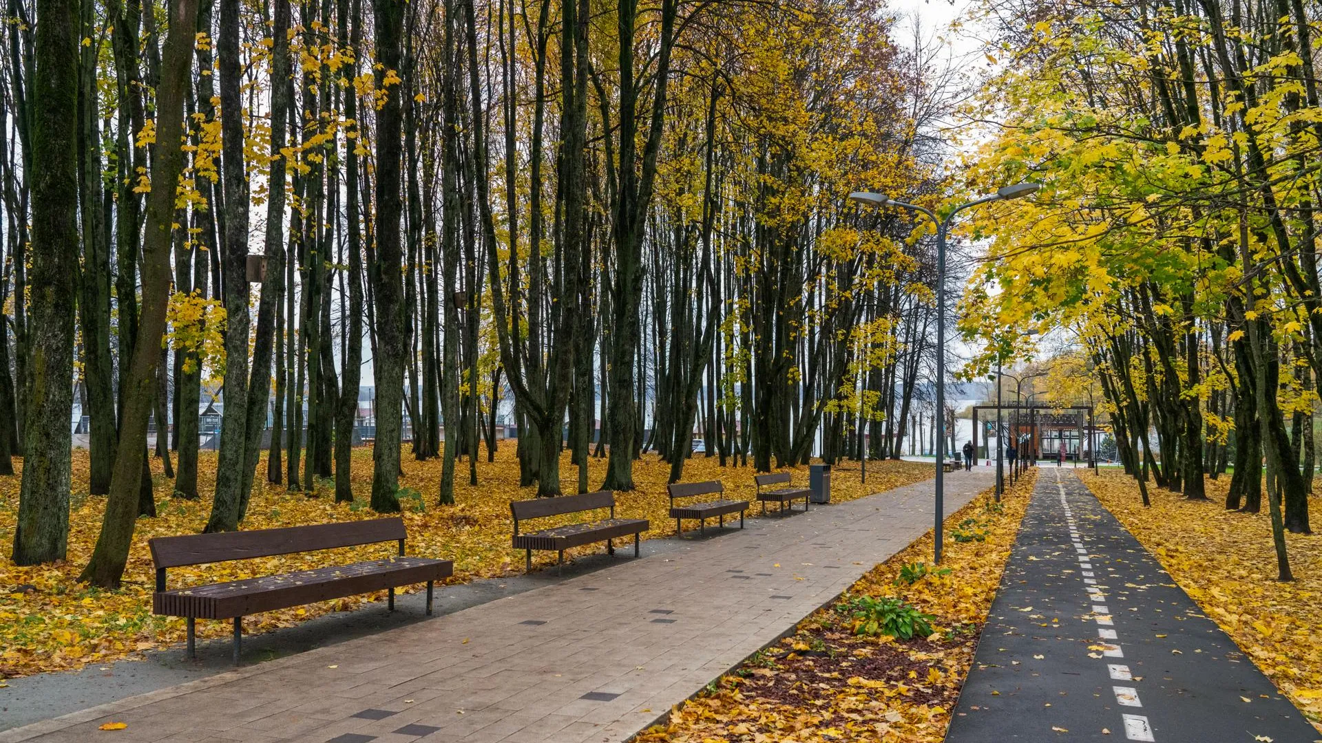 Осенние виды парка в Солнечногорске