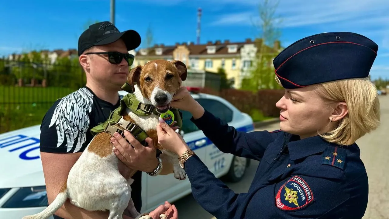 Фото: администрация г.о. Красногорск