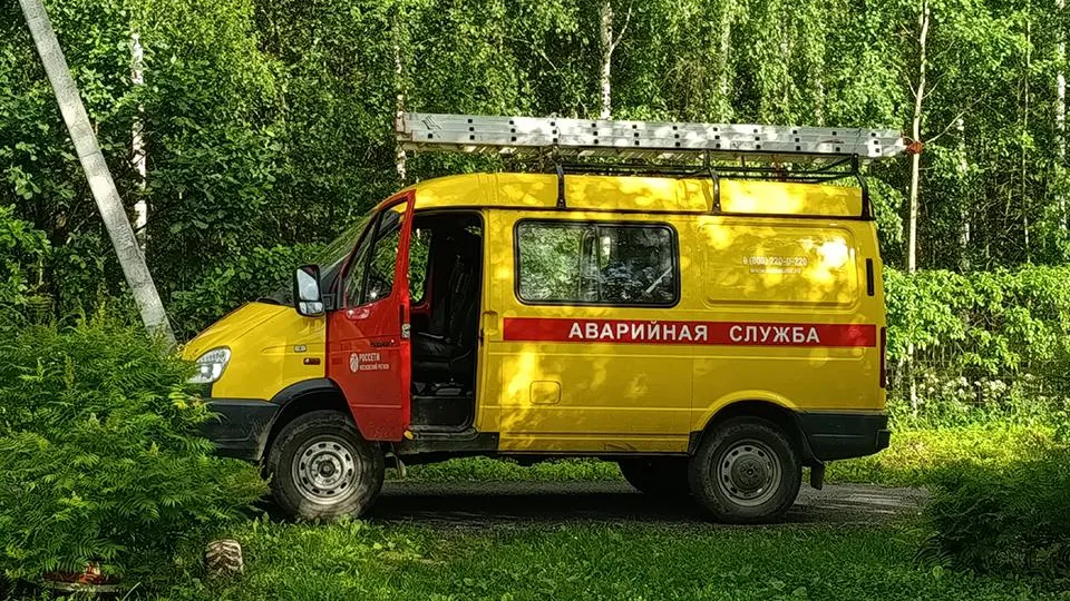 Фото: МедиаБанк Подмосковья/Ольга Антонова