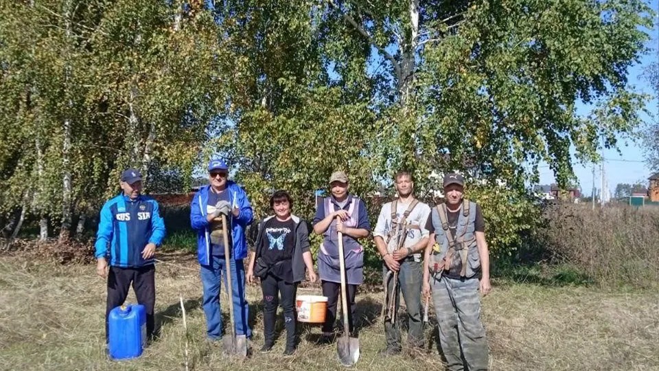 Картинка
